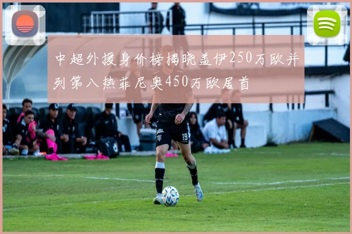 中超外援身价榜揭晓盖伊250万欧并列第八热菲尼奥450万欧居首