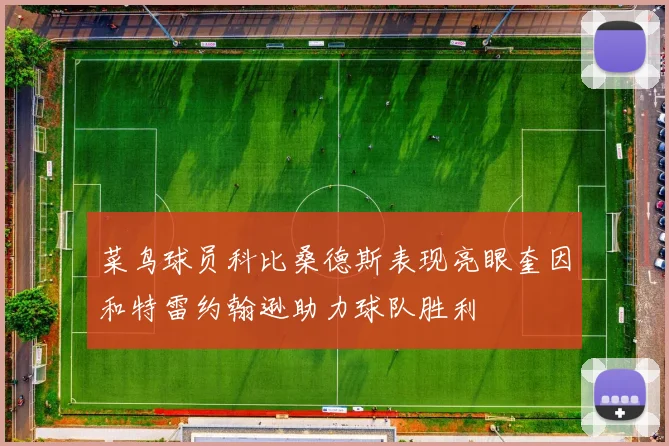 菜鸟球员科比桑德斯表现亮眼奎因和特雷约翰逊助力球队胜利