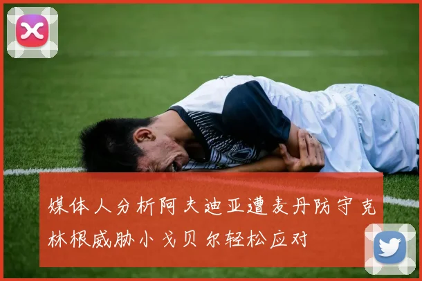 媒体人分析阿夫迪亚遭麦丹防守克林根威胁小戈贝尔轻松应对